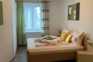 TOP ausgestattetes Single Appartement in 3363 Ulmerfeld-Hausmening zu Mieten