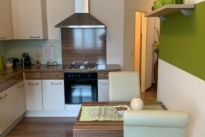 TOP ausgestattetes Single Appartement in 3363 Ulmerfeld-Hausmening zu Mieten